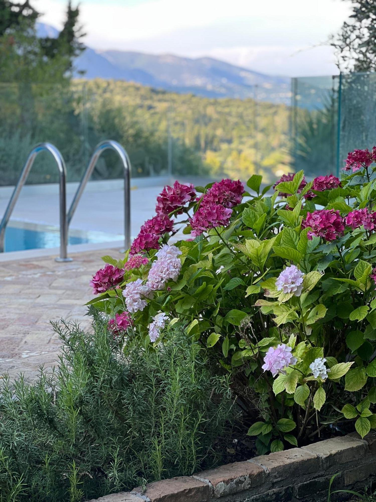 Villa Fioraki Πουλάδες Εξωτερικό φωτογραφία